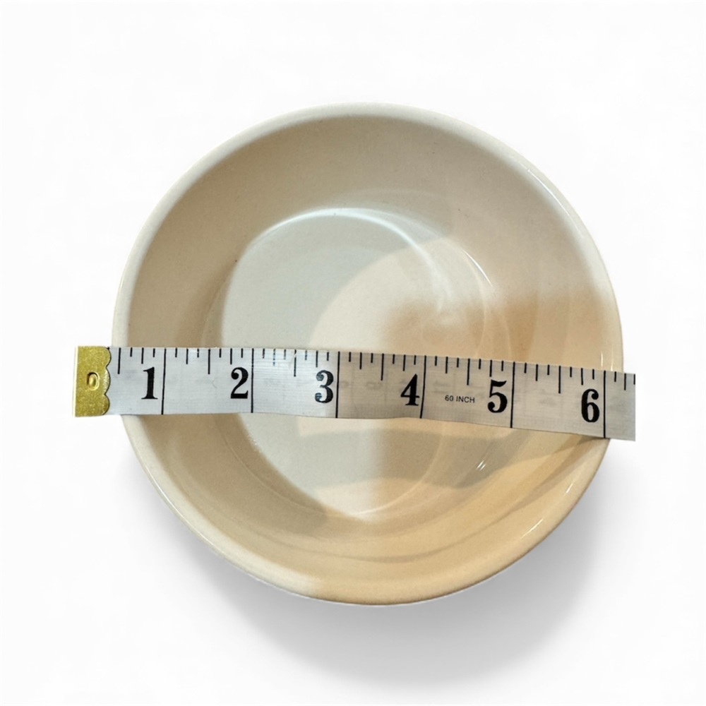 Rae Dunn “Devour” Pet Bowl 6” - Picture 5 of 5